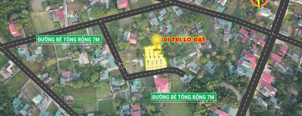 Khoảng 340 triệu bán đất diện tích thực tế 151m2 vị trí đẹp ngay ở Yên Thọ, Như Thanh-03