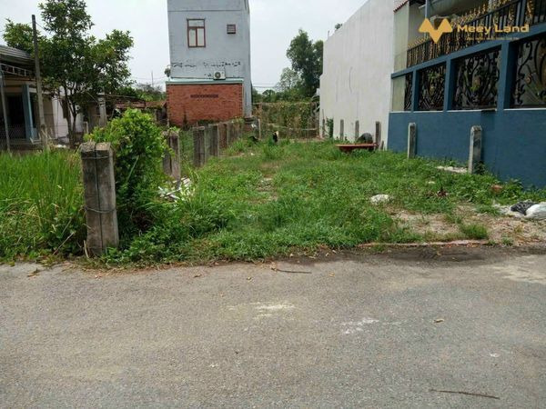 Bán rẻ lô đất 123m2 tại Phước Vĩnh An giá 490 triệu gọi ngay-01