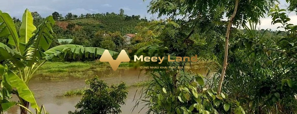 Gần Đắk Mil, Đắk Nông bán đất giá thương lượng chỉ 650 triệu có diện tích chuẩn 1300 m2-02