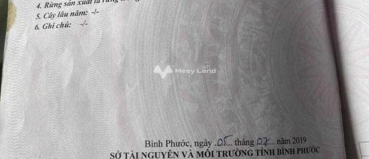 Gấp bán đất Chơn Thành, Bình Phước giá bán cơ bản từ 160 triệu với diện tích 500m2-03