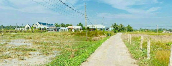 Tân Trụ, Long An bán đất giá bán sang tên chỉ 590 triệu với diện tích là 211m2-02