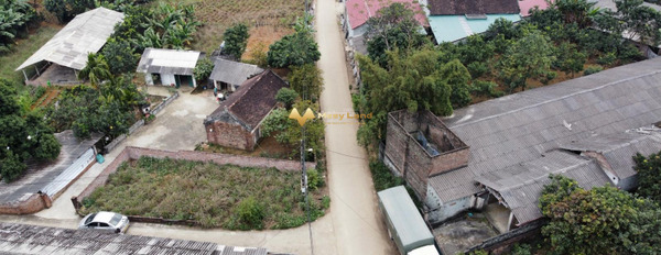 Bán đất mặt trục chính mặt đường Hoa Kiểu Mẫu tại thôn Hòa Trúc, xã Hòa Thạch, huyện Quốc Oai-03