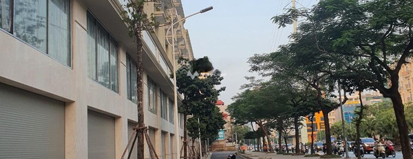 Cần ra đi gấp bán shophouse diện tích chuẩn 97.5m2-03