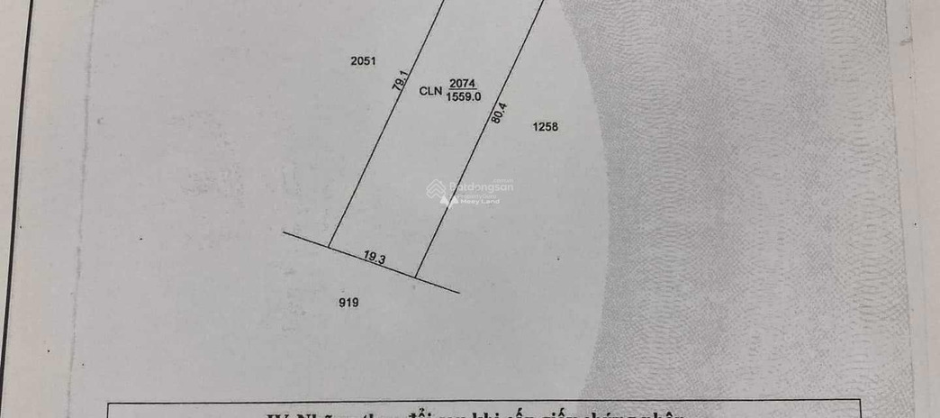 Chính chủ cần bán 1600m2 đường Tỉnh 919, Trường Xuân, Thới Lai, Cần Thơ