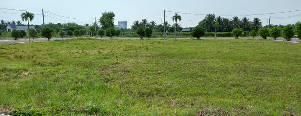 Cần bán miếng đất ngay đường Tỉnh 866 Châu Thành, Tiền Giang-03