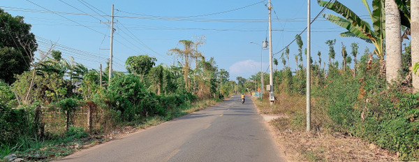 Bàu Chinh, Bà Rịa-Vũng Tàu bán đất giá rẻ chỉ 3.4 tỷ có diện tích khoảng 1954m2-02