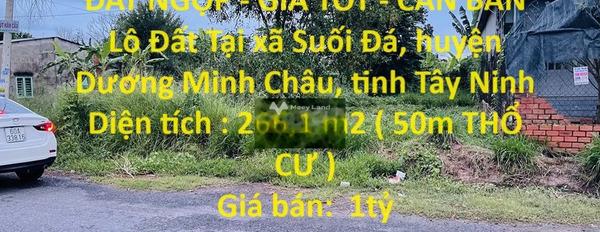 Tại Suối Đá, Tây Ninh bán đất 1 tỷ với diện tích tiêu chuẩn 2661m2-03