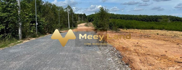 Giá rẻ bất ngờ 2.26 tỷ, Bán đất có tổng dt 1140m2 mặt tiền tọa lạc ngay Huyện Long Thành, Tỉnh Đồng Nai hỗ trợ pháp lý-03