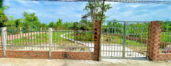 Bán nhà vườn xã Phước Hậu, Cần Giuộc: 500m2 có sẵn nhà chồi -02