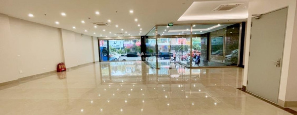 Nhà có 9 PN bán nhà bán ngay với giá siêu ưu đãi từ 220 tỷ diện tích chuẩn 410m2 vị trí đặt tại trung tâm Hoàng Ngân, Hà Nội-02