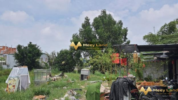 Mặt tiền nằm tại Thị Xã Thuận An, Tỉnh Bình Dương cho thuê kho bãi 2385 m2 giá chính chủ 72 triệu/tháng với ngõ có độ 32 mét cảm ơn đã xem tin-01