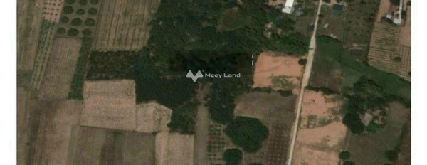 Bán đất 4.5 tỷ Cam Thành Nam, Khánh Hòa diện tích rộng lớn 500m2-02