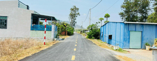 Chính chủ gửi bán nền đất 600m2 tại Long Điền cách Quốc lộ 44b Nguyễn Hữu Cảnh chỉ 400m-02