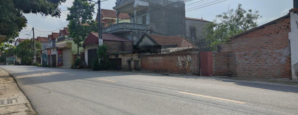 Bán đất 115.9 m2 chính chủ thôn Lập Trí Sóc Sơn -03
