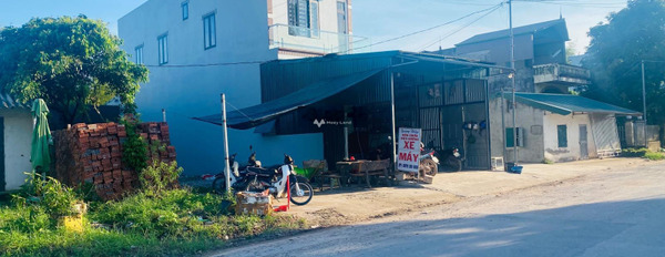 Móng Cái, Quảng Ninh bán đất giá rẻ bất ngờ chỉ 5 tỷ diện tích chuẩn 240m2-03