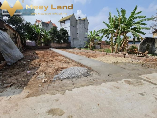 Huyện Gia Lâm, Hà Nội bán đất giá bán cực êm chỉ 2.89 tỷ diện tích tổng 85m2-01