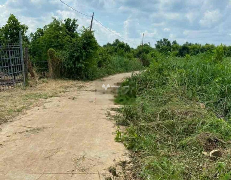 180 triệu bán đất có diện tích 1000m2 vị trí nằm tại Lộc Ninh, Bình Phước-01