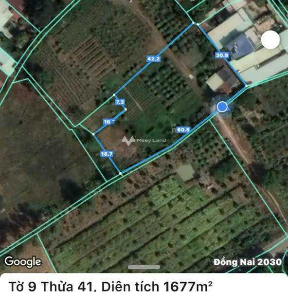 Bán đất 12 tỷ Tân Hạnh, Biên Hòa diện tích tổng 4000m2-01