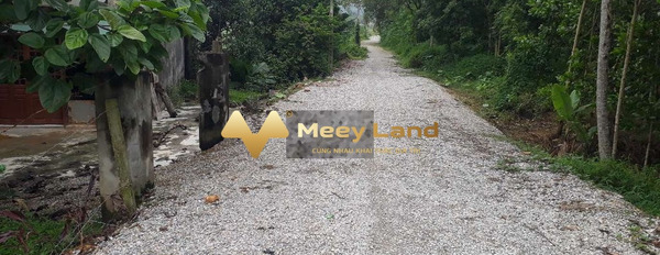 Đang cần tiền bán mảnh đất, 500 m2 giá bán hữu nghị từ 700 triệu tọa lạc ngay trên Huyện Lương Sơn, Tỉnh Hòa Bình liên hệ chính chủ-02