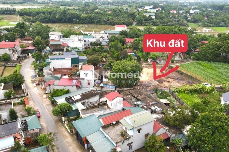 Bán đất tổng diện tích 232m2 mặt tiền nằm ngay tại Thọ Xuân, Thanh Hóa-01