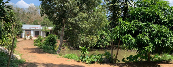 Bán gấp lô đất ven hồ 7 mẫu đẹp nhất Xà Bang 2 mặt tiền, full thổ cư gần khu Cacao Park-03