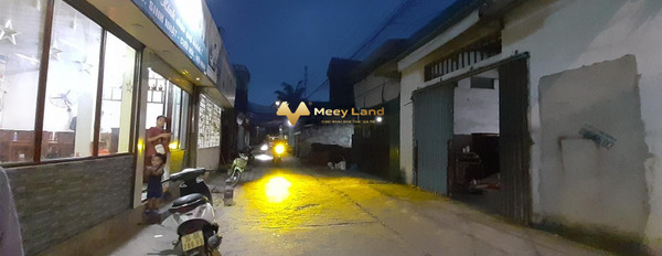 Nhà gồm 1 PN bán nhà diện tích chuẩn 180 m2 vị trí thuận lợi tọa lạc gần Hưng Lộc, Hậu Lộc-03