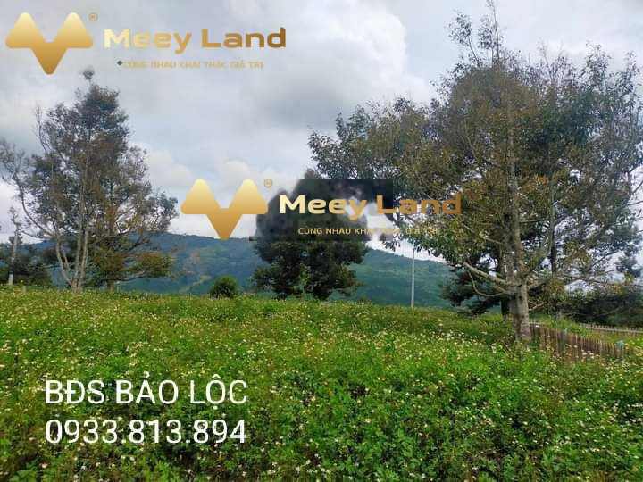 Tọa lạc ngay tại Bảo Lộc, Lâm Đồng bán đất, giá bất ngờ 2 tỷ, hướng Bắc có dt chung là 280 m2-01