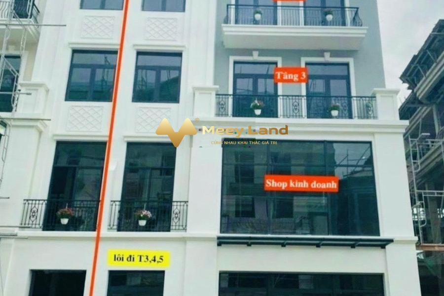 Diện tích khoảng 84 m2, cho thuê nhà ở vị trí phát triển Quận 9, Hồ Chí Minh, căn nhà gồm 8 phòng ngủ, 6 WC sổ hồng chính chủ-01