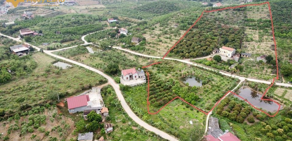 Siêu phẩm nghỉ dưỡng 1,6 ha vườn có 800m2 thổ cư tại Tân Mộc, Lục Ngạn, Bắc Giang, trên đất sẵn nhà đẹp