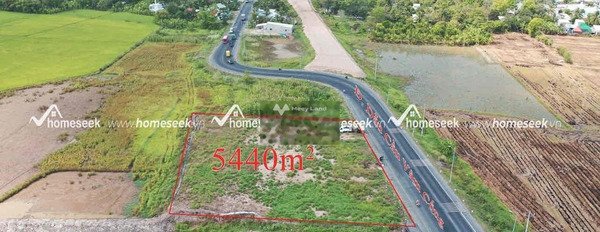 Thuê ngay với giá sang tên 18 triệu/tháng cho thuê đất diện tích rộng rãi 5440m2 vị trí đặt tọa lạc ở Thốt Nốt, Cần Thơ tiện ích bao phê-03