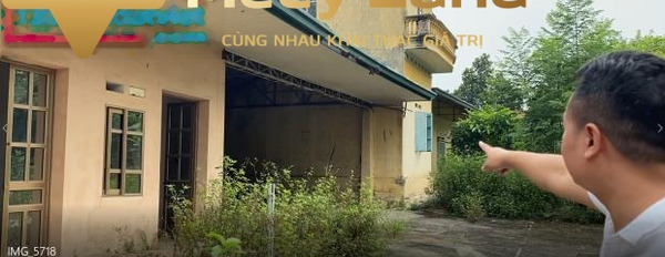 Giá bán công khai chỉ 30 tỷ, bán đất có một diện tích là 5000 m2 ngay ở Xã Minh Trí, Huyện Sóc Sơn giấy tờ nhanh chóng-03