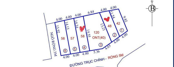 Quang Tiến, Hà Nội bán đất giá bán thị trường chỉ 850 triệu, hướng Nam với diện tích tiêu chuẩn 48m2-03