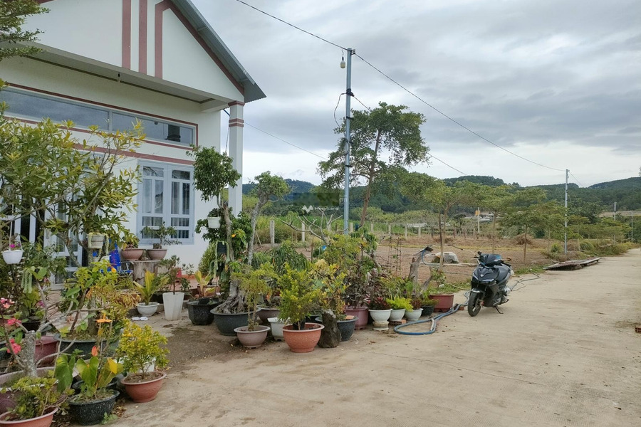 Bán đất tại Thống Nhất, Lâm Đồng. Diện tích 1125m2-01