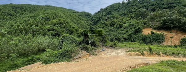 Bán đất có diện tích quy ước 40000m2 vị trí đặt ở trung tâm Lương Sơn, Hòa Bình-03