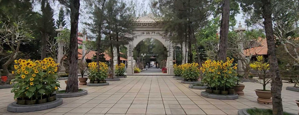 Cho thuê 300m đất ngay Thiền viện Thường Chiếu Long Thành thích hợp làm vườn ươm có sẵn nhà cấp 4 -02