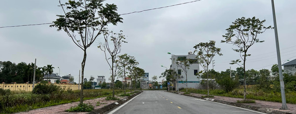 Bán đất khu đô thị Ford Tứ Minh, Hải Dương, 81m2, mặt tiền 4,5m, hướng Đông, đường 13,5m, giá đầu tư cực rẻ-02