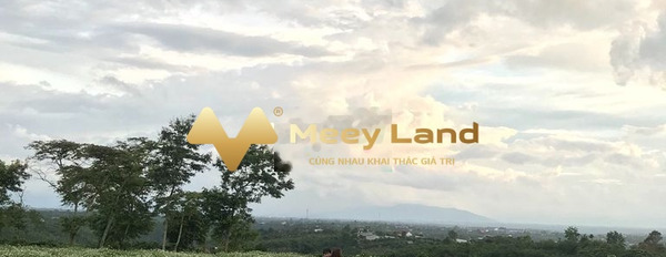 Bán đất 1.35 tỷ Di Linh, Lâm Đồng có dt khoảng 1200 m2-02