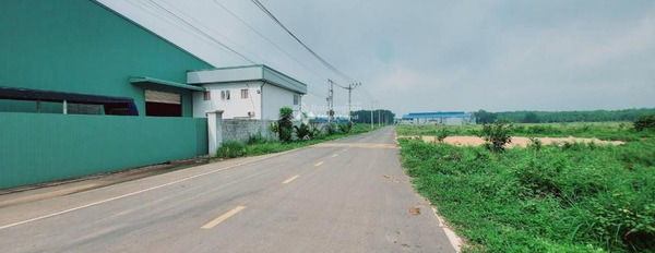 Vĩnh Tân, Bình Dương bán đất giá siêu rẻ 19.02 tỷ diện tích chuẩn 4582m2-02