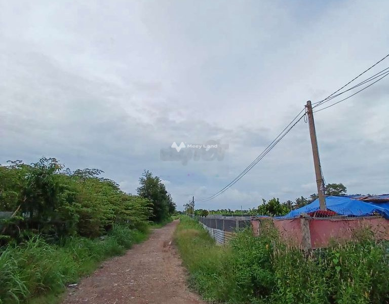 Vị trí ngay Vĩnh Lộc, Bình Chánh bán đất, giá siêu khủng 500 triệu diện tích tầm trung 250m2-01