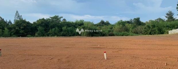 Ở Quốc Lộ 13, Bình Phước bán đất giá hiện tại chỉ 245 triệu diện tích vừa phải 200m2-03