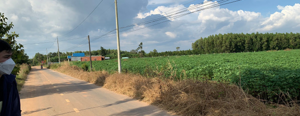Bán đất 2 mặt tiền đường nhựa Sóc Ba Buông giá mềm tại Xuân Hòa-03