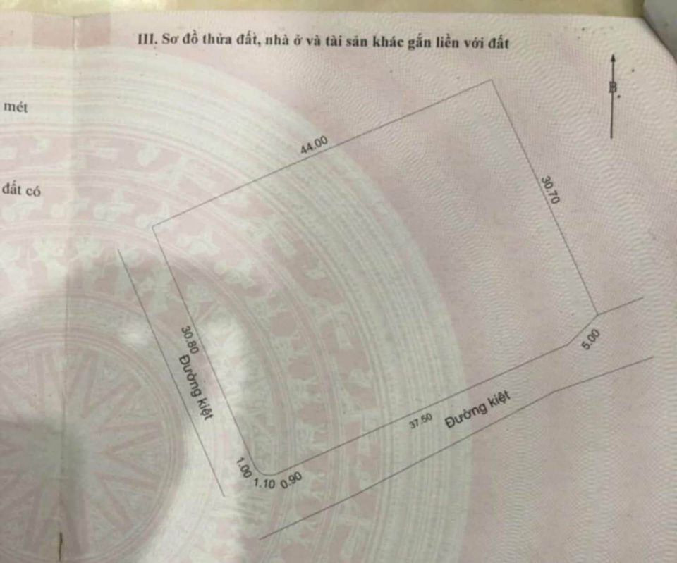 Bán nhà riêng quận Ngũ Hành Sơn thành phố Đà Nẵng giá 11.0 tỷ-1