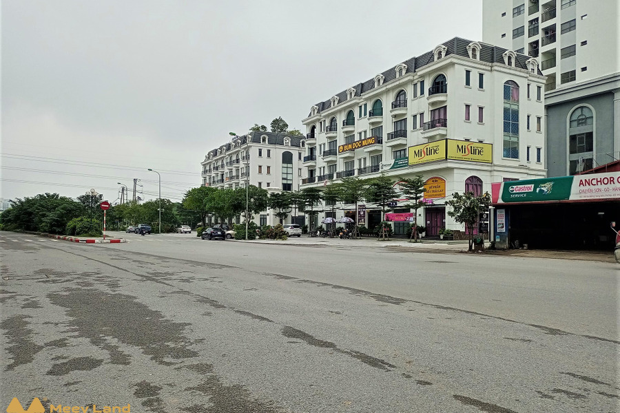 Biệt thự liền kề khu đô thị Sài Đồng 132m2, cạnh Vinhomes, đường 10m, ô tô dừng đỗ ngày đêm, kinh doanh siêu đỉnh-01