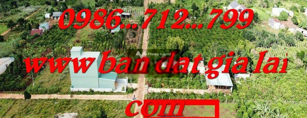 Giá bán ngạc nhiên 420 triệu bán đất diện tích tổng là 130m2 vị trí đẹp tọa lạc ngay ở Tân Sơn, Pleiku-02