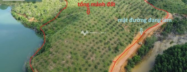 Giá bán đàm phán 8.4 tỷ bán đất có diện tích sàn 30000m2 vị trí đặt ngay trung tâm Tiên Hoàng, Cát Tiên-02