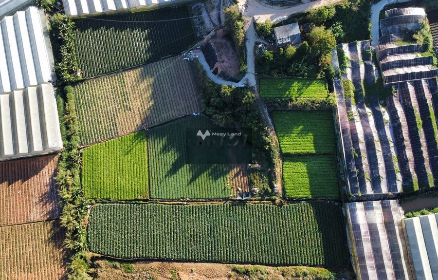 8 lô đất nông nghiệp diện tích 600-1600m2 tại phường 5 Đà Lạt SHR -01