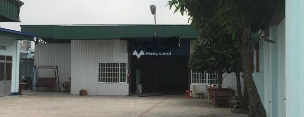 Bán đất 33 tỷ Tam Hòa, Đồng Nai có diện tích tiêu chuẩn 1000m2-03