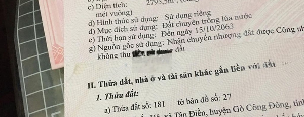 Gò Công Đông, Tiền Giang bán đất giá bán hạt dẻ chỉ 2.2 tỷ diện tích chung 2900m2-03