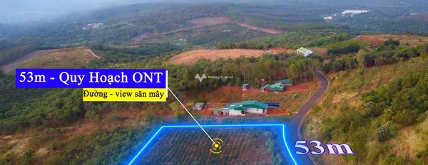 Bán đất 954 triệu Cà Mau, Đắk Nông diện tích trong khoảng 2620m2-03