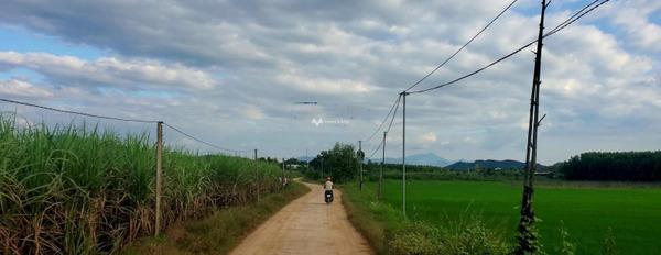 Diên Khánh, Khánh Hòa 379 triệu bán đất, hướng Tây - Nam với diện tích chuẩn 558m2-03
